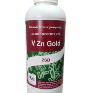 V Zn Gold ZSB